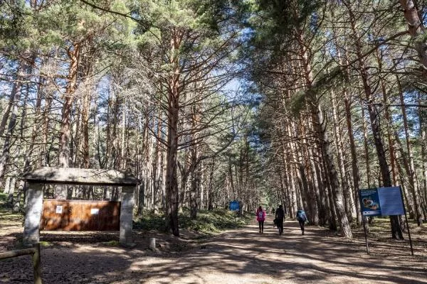 Camino en el valle de la fuenfría